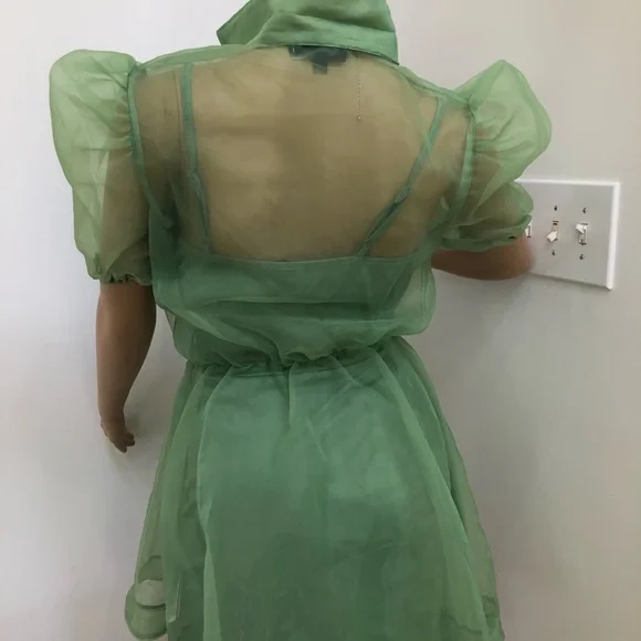 Lovely Organza Top - new! - Picture 6 of 7